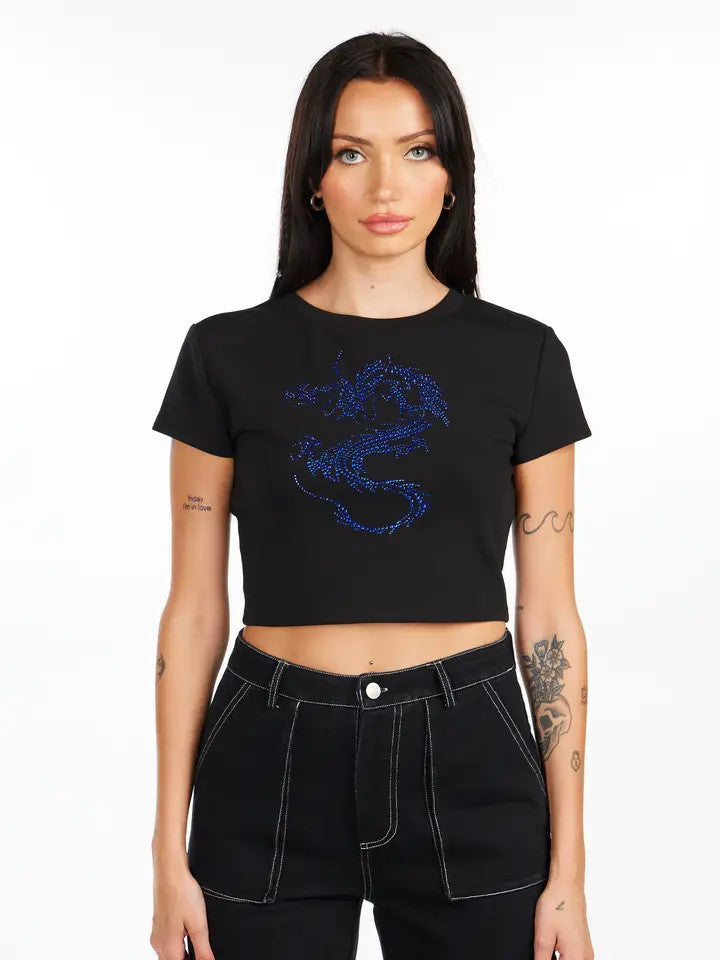 PD: Blue Dragon Top